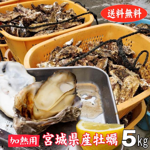 殻付き牡蠣 産地直送 宮城県産 5kg 加熱用 送料無料 旬 活 かき