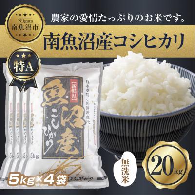 ふるさと納税 南魚沼市 南魚沼産 コシヒカリ 5kg×4 計 20kg(お米の美味しい炊き方ガイド付き)