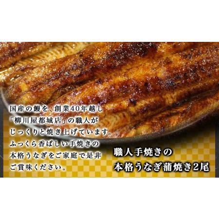 ふるさと納税 鰻専門店・職人手焼きの本格うなぎ蒲焼き2尾_MJ-3305_(都城市) 国産 本格 うなぎ 鰻 蒲焼 宮崎 柳川屋 宮崎県都城市