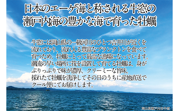 先行予約 2024年2月以降順次発送 剥き牡蠣 400g×2袋 エビス水産 洗浄済 瀬戸内 牛窓産 岡山県 ※加熱調理用