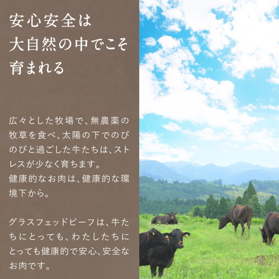 ステーキ ヒレサーロイン2種セット 合計600g (ヒレ150g×2 サーロイン150g×2) グラスフェッドビーフ 国産 黒毛和牛 赤身 牛肉 ギフト 送料無料