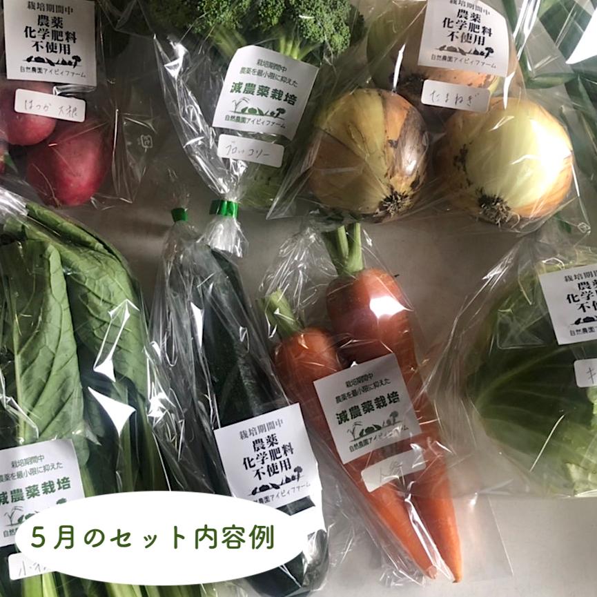 旬の野菜セット無農薬・無化学肥料 減農薬栽培野菜 6-7品目 農園直送 送料無料