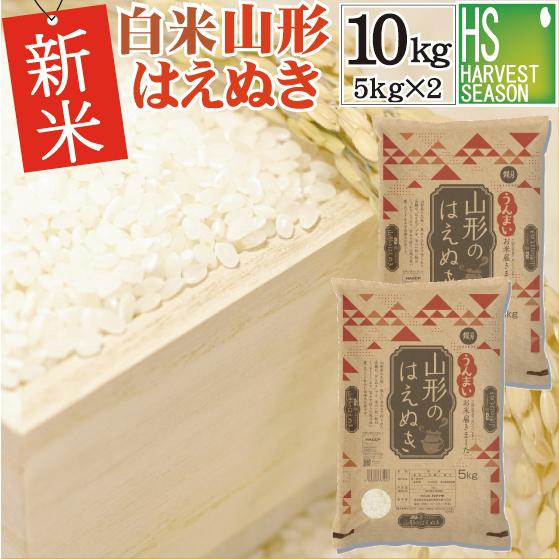 特価 新米 10kg 5kg×2袋 はえぬき 山形県産 白米 精白米 令和5年産 送料無料（SL）