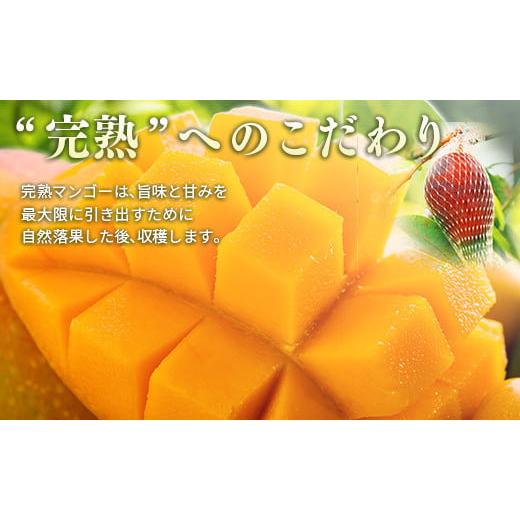 ふるさと納税 宮崎県 西都市 宮崎県産完熟マンゴー3Ｌ×2個　西都市特産品＜1.5-132＞