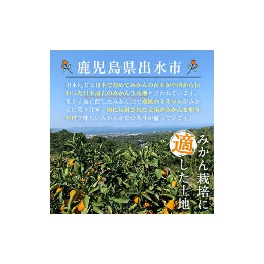 ふるさと納税 鹿児島県 出水市 i573 ＜2023年11月上旬〜2024年1月下旬の間に発送＞温州みかん日本一！濃甘あめ玉みかん(計約20kg・10kg…