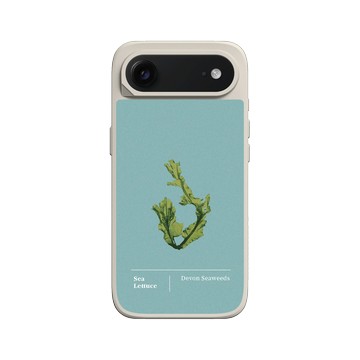 iPhone Air SolidX 貝殼灰 - The Seaweed Studio - 德文郡・美扇藻研習