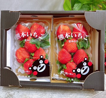 【帕查嬤嬤】????日本 熊本 大浜 戀之實 恋みのり 草莓｜日本草莓禮盒