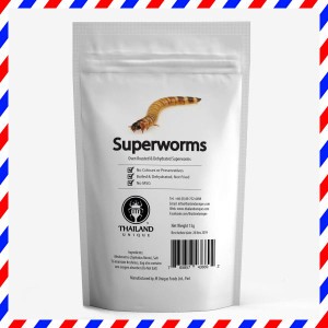 食用 スーパーワーム 15g(Superworms) 昆虫食