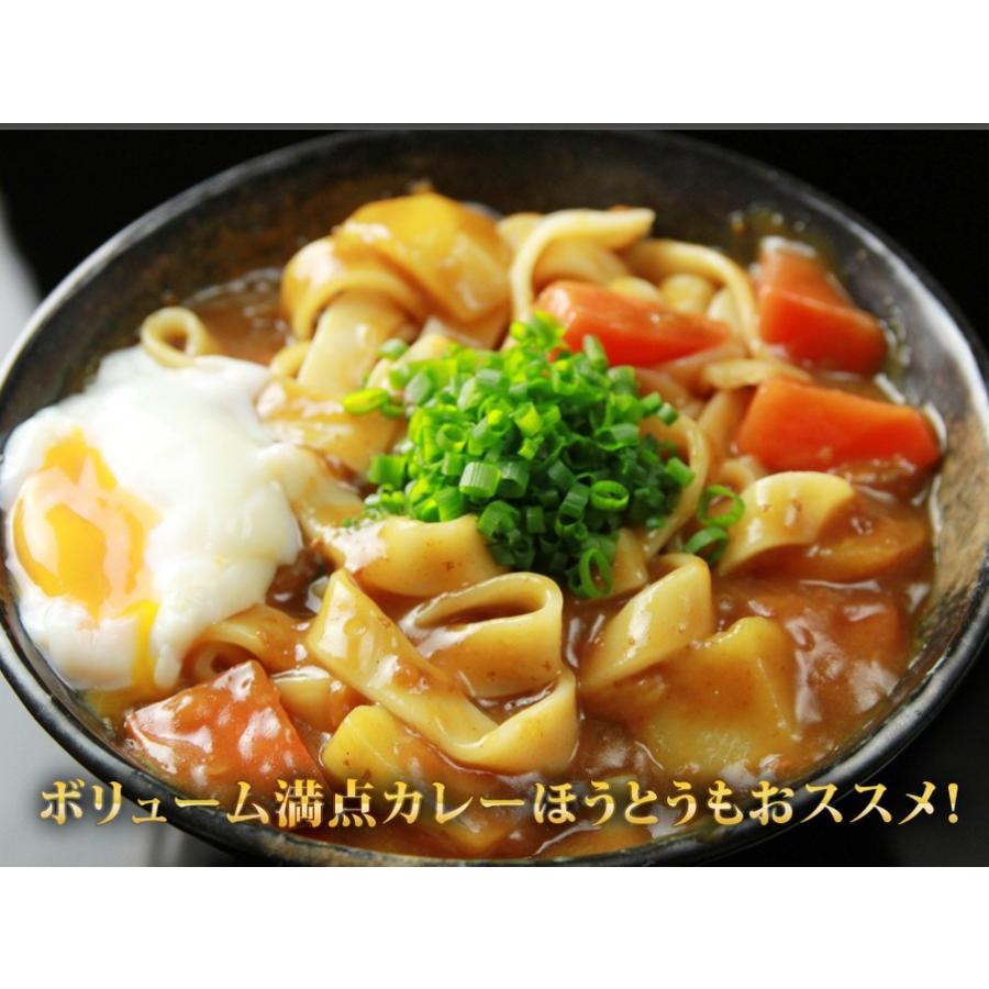 ギフト 本なま麺　ほうとう　10食セット　だし味噌付き　送料無料鍋ほうとう 業務用 ほうとう鍋 味噌味ほうとう山梨 郷土料理