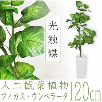 造花 植物の通販 46 629件の検索結果 Lineショッピング