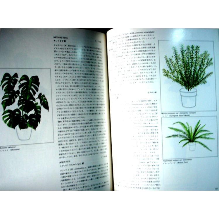 世界の園芸百科　観葉植物　グリーンライブラリー