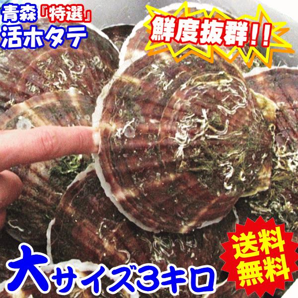 青森 ホタテ 殻付き 活ほたて 大サイズ3キロ 送料無料 青森 陸奥 貝柱が美味 ほたて 3kg（約12枚-18枚）お取り寄せ 海産