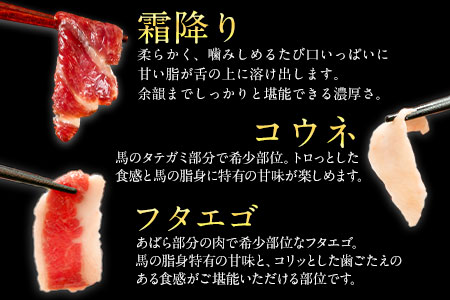 鮮馬刺しスライス＆馬肉惣菜全10種セット 1kg 千興ファーム 馬肉 冷凍 《60日以内に順次出荷(土日祝除く)》 新鮮 さばきたて 生食用 肉 熊本県御船町 馬刺し 馬肉 惣菜 希少部位