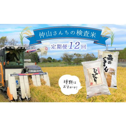 ふるさと納税 熊本県 玉名市 仲山さんちのお米（検査米）10kg×12回