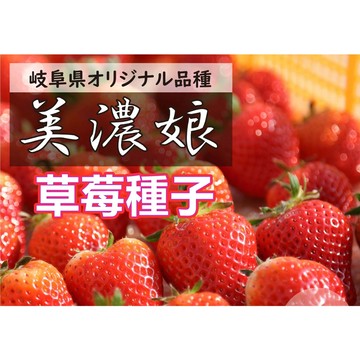 🍓【日本原種直送】美濃娘草莓種子 岐阜縣人氣品種 全日系種源 果實甜香濃郁 陽台盆栽家庭果園 約100粒裝 附專業栽培指