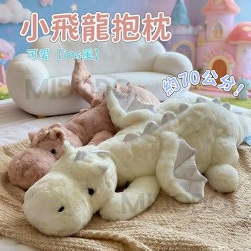 隔日達🤍 寶寶枕 小飛龍玩偶 畢業禮物 睡覺抱枕 恐龍毛絨抱枕 長條枕頭 公仔玩偶 柔軟抱枕 生日禮物 交換禮物