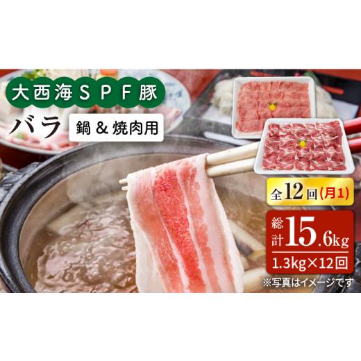 ふるさと納税 長崎県 西海市 大西海SPF豚 バラ（焼肉＆しゃぶしゃぶ用