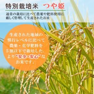 ふるさと納税 [令和5年産] JA山形市の「プレミアムつや姫」 玄米 (特別栽培米) 15kg FY22-573 山形県山形市