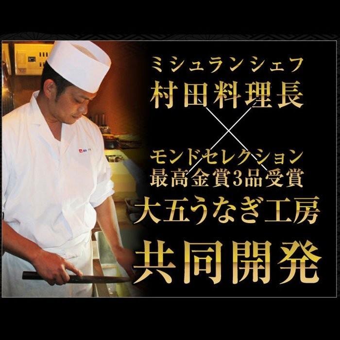 国産うなぎ 蒲焼き 長蒲焼（大）2尾＆カット蒲焼2枚セット お歳暮 鰻 ウナギ プレゼント 贈答 内祝い 贈り物 グルメ 高級 大きめ 送料無料