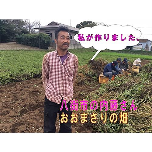 八街産落花生 手もぎゆで落花生 (おおまさり380g)