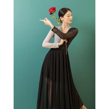 古風舞蹈服古典舞練功服女飄逸網紗中國風現代舞新款表演出連衣裙