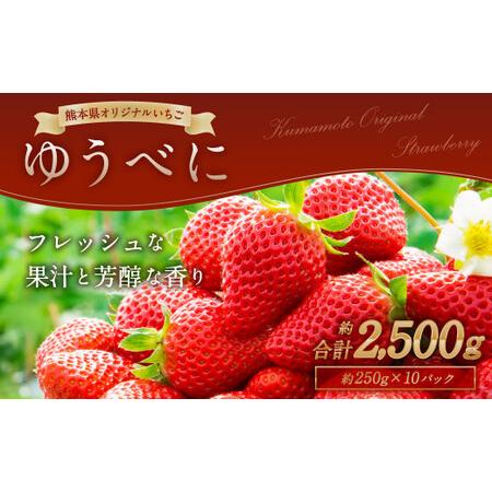 ふるさと納税  熊本産 ゆうべに 250g×10パック 計2.5kg いちご イチゴ 苺 熊本県熊本市