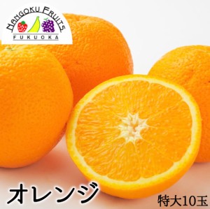 オーストラリア産オレンジ特大10玉　(1玉約250ｇ)