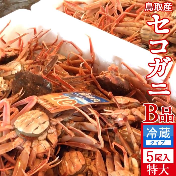 かに 訳あり 香箱がに セコガニ［B品］特大1kg（5尾入）活ガニ 生き蟹 松葉蟹のメス 鳥取県産 せこ蟹 セイコガニ 子持ち 親蟹［お歳暮 2023 ギフト 御歳暮］