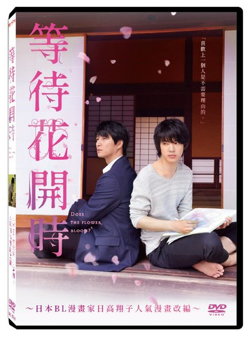 【停看聽音響唱片】【DVD】等待花開時