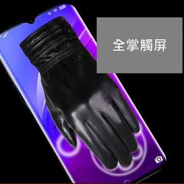 【巴黎精品】真皮手套男手套-山羊皮加絨皮扣觸控男配件a1dx32