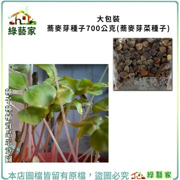 【綠藝家】大包裝蕎麥芽種子700公克(蕎麥芽菜種子) 麥芽 蔬菜 種子 麥芽種子 易種植