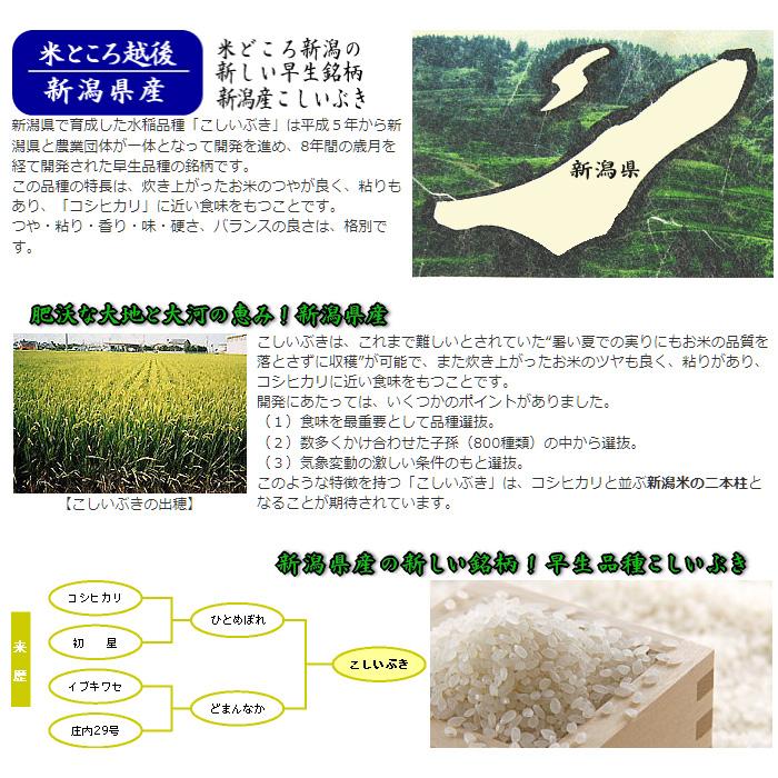 新潟県産 こしいぶき 特別栽培米 （ 令和5年産 ） 10kg  