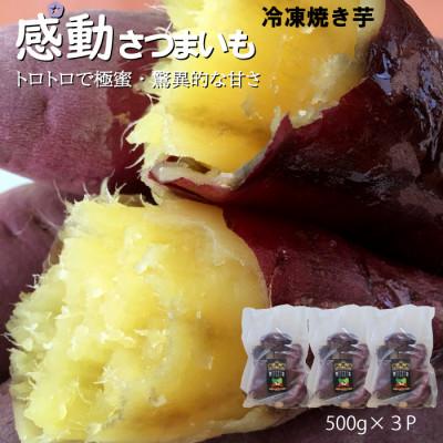 ふるさと納税 南大隅町 感動さつまいも(熟成紅はるか)500g×3パック