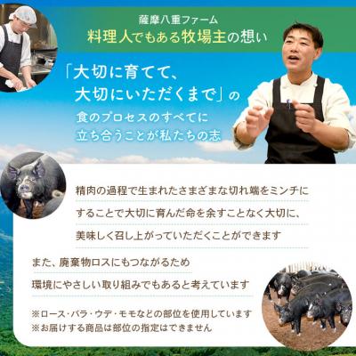 ふるさと納税 薩摩川内市 黒豚農場薩摩八重ファームのかごしま黒豚ミンチ 1kg SDGs 薩摩川内市 ZS-907