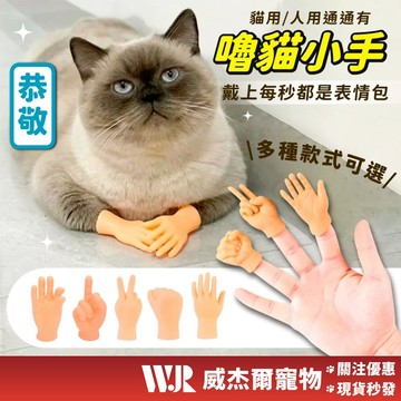 【威杰爾】嚕貓小手 逗貓小手 擼貓神器 逗貓棒 貓咪小手 小手指 狗玩具 貓玩具 寵物玩具 撸貓小手 貓玩具【G126】