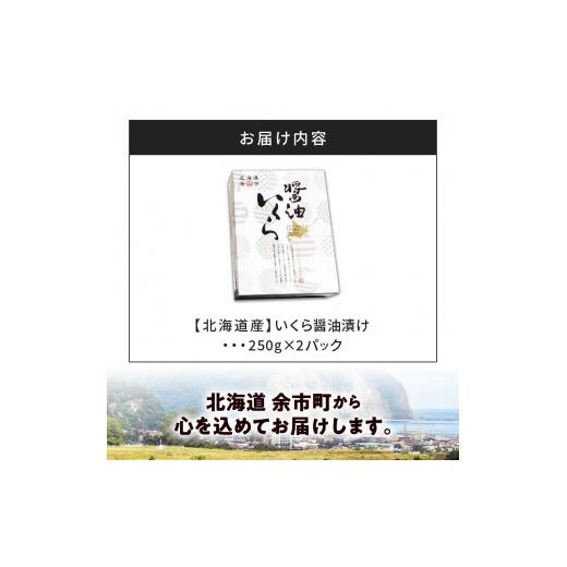 ふるさと納税 北海道 余市町 醤油いくら 250g×2パック いくら醤油漬け ギフト 北海道産