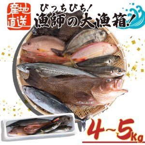 ふるさと納税 魚 鮮魚 ボックス 4〜5kg 旬 鮮度 抜群 おまかせ 詰め合わせ 高知県 須崎市 高知県須崎市