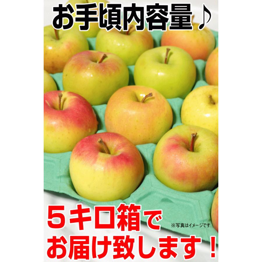 クーポンで200円引き！あすつく 青森 りんご 3kg箱 ぐんま名月 送料無料 家庭用 訳あり 青森 リンゴ 訳あり 3キロ箱★名月 家訳 3kg箱