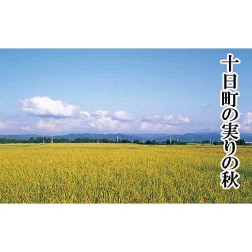 ふるさと納税 新潟県 十日町市 ★令和5年産★“特別栽培米” 魚沼産コシヒカリ 5kg