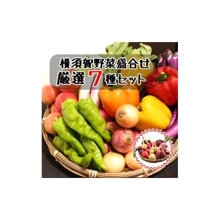 ふるさと納税 野菜セット 横須賀産 厳選 野菜 7種 詰め合わせ 神奈川県横須賀市