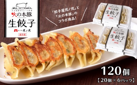 火の本豚餃子 （20個×6パック）120個入