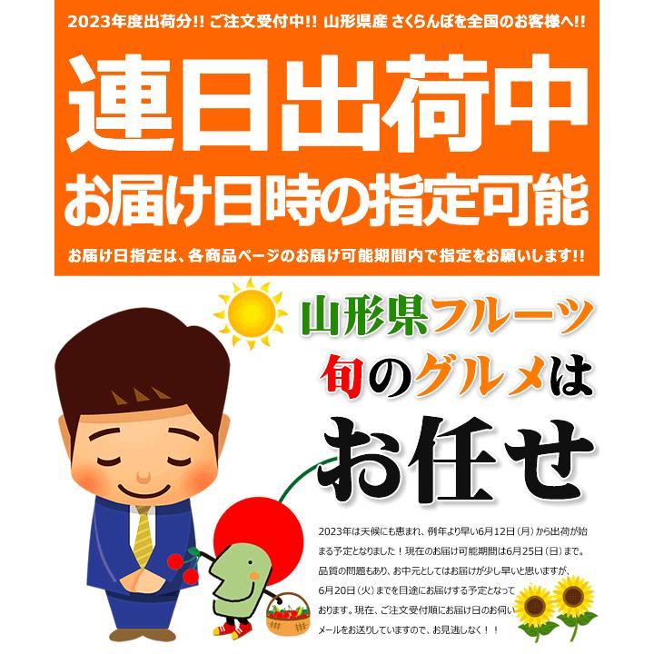 山形県産 さくらんぼ 佐藤錦 300g (クール便 特秀品 2Lサイズ 手詰め 化粧箱入り) 鏡詰め お中元 ギフト 贈り物 プレゼント 送料無料 お取り寄せ