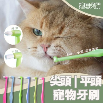 小刷頭寵物牙刷 尖頭牙刷 平頭牙刷 貓咪牙刷 狗牙刷 小頭牙刷 細頭牙刷 軟毛牙刷 貓咪潔牙 狗 貓 牙刷