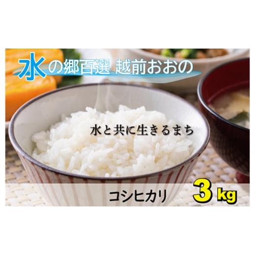 ふるさと納税 福井県 大野市 こしひかり（福井県大野市産）エコファーマー（白米）3kg