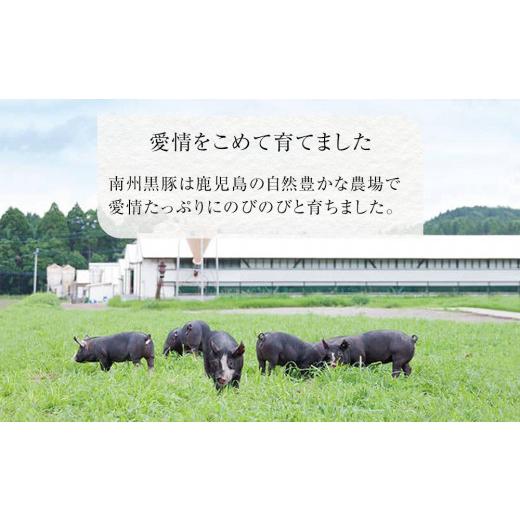 ふるさと納税 鹿児島県 南大隅町 南州農場 黒豚バラエティセットA（3424）