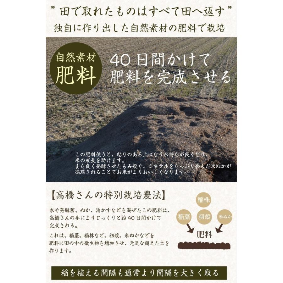 新米 令和3年 内祝 自然栽培米 無農薬 新米 米 2kg 食べ物 ミルキークイーン コシヒカリ 送料無料 金賞