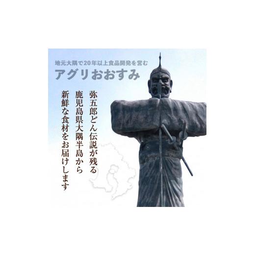 ふるさと納税 鹿児島県 曽於市 鹿児島県産！薩摩隼人の若鳥もも肉・にんにく醤油漬け(約300gx4P・1.2kg) 国産 鶏肉 若鳥A-286