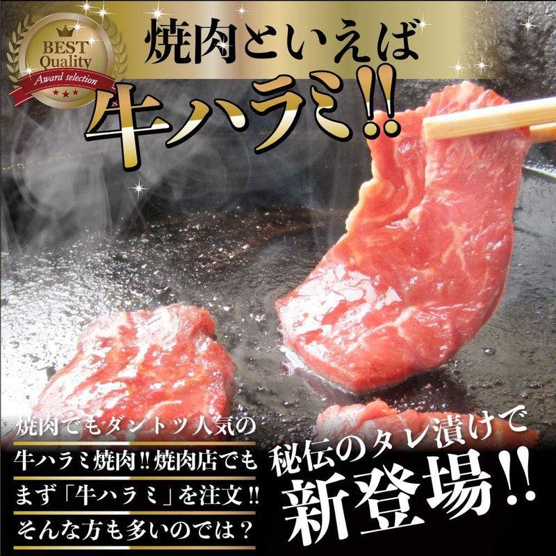 牛ハラミ焼肉（タレ漬け） メガ盛り バーベキュー用 (5kg(250g×20))