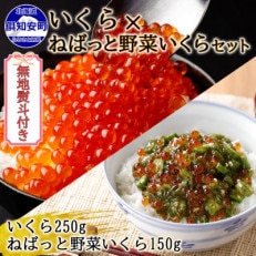 いくら醤油漬け250g  ねばっと野菜いくら 150g セット 北海道 倶知安町