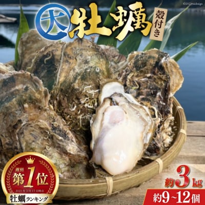 牡蠣 大粒 3～4年モノ 生食 殻付き牡蠣 約3kg(約9-12個入)[20562174]